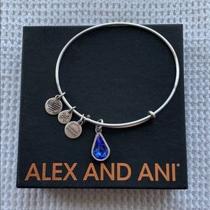 Sapphire Birthstone Alex and Ani Charm Bracelet